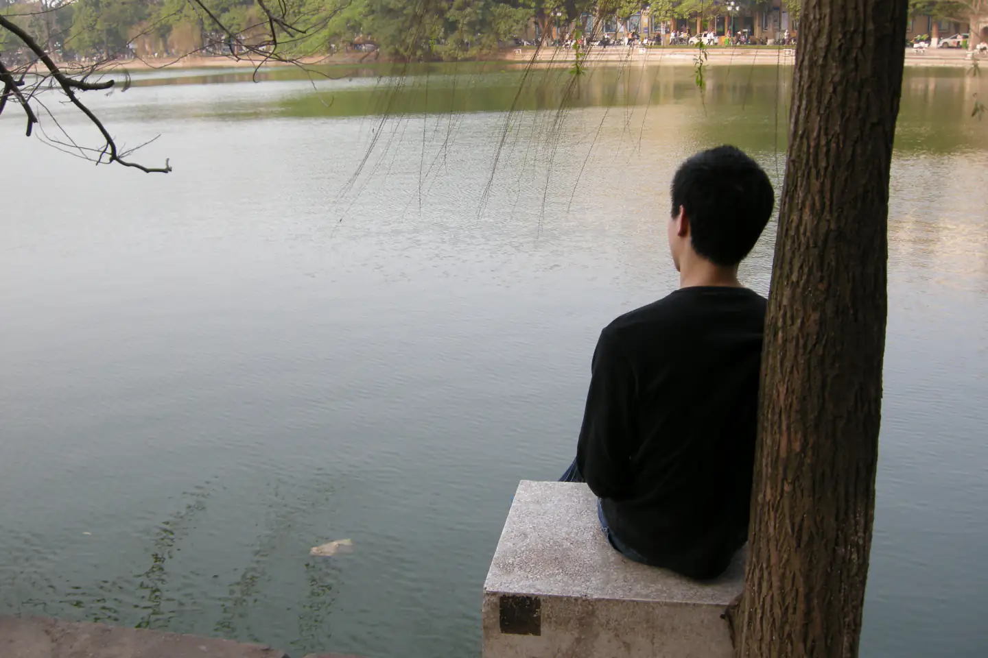 Một người ngồi bên gốc cây nhìn ra hồ Hoàn Kiếm ở Hà Nội